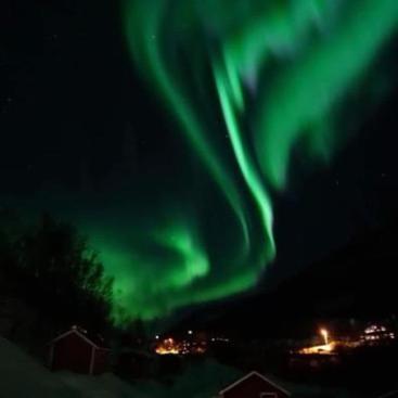 Hotel Koselig Dyregard I Tromsø Exterior foto